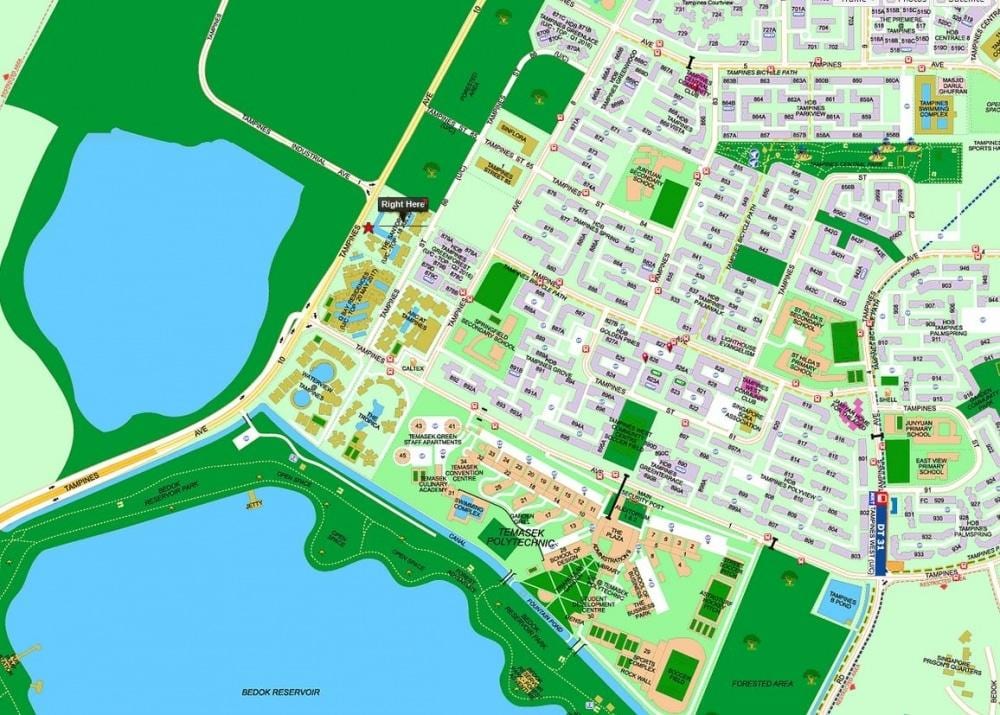 kart Sinqapur тампинс