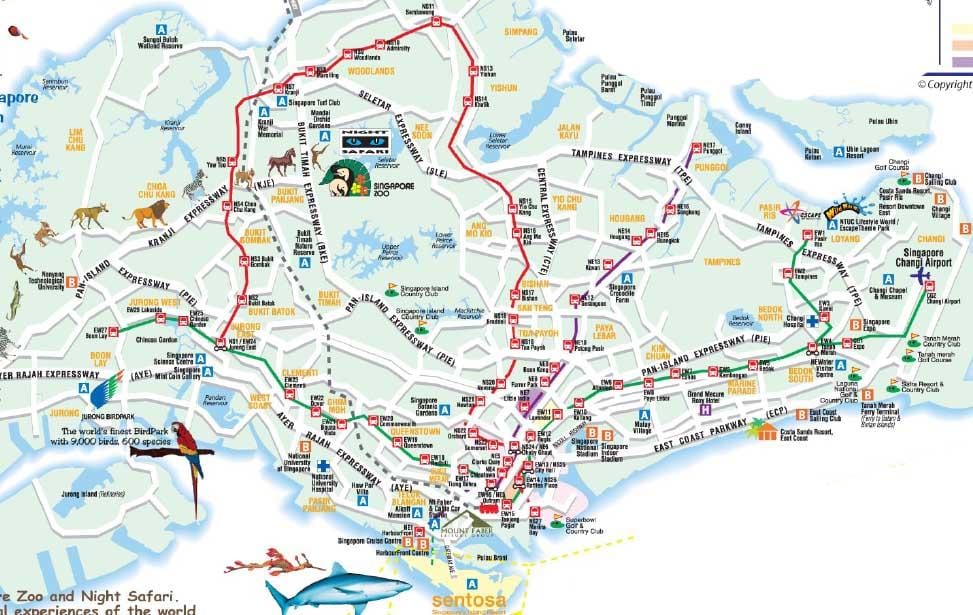 Yol xəritəsi Sinqapur