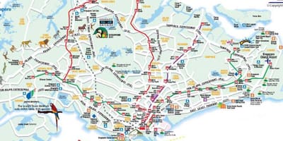 Yol xəritəsi Sinqapur